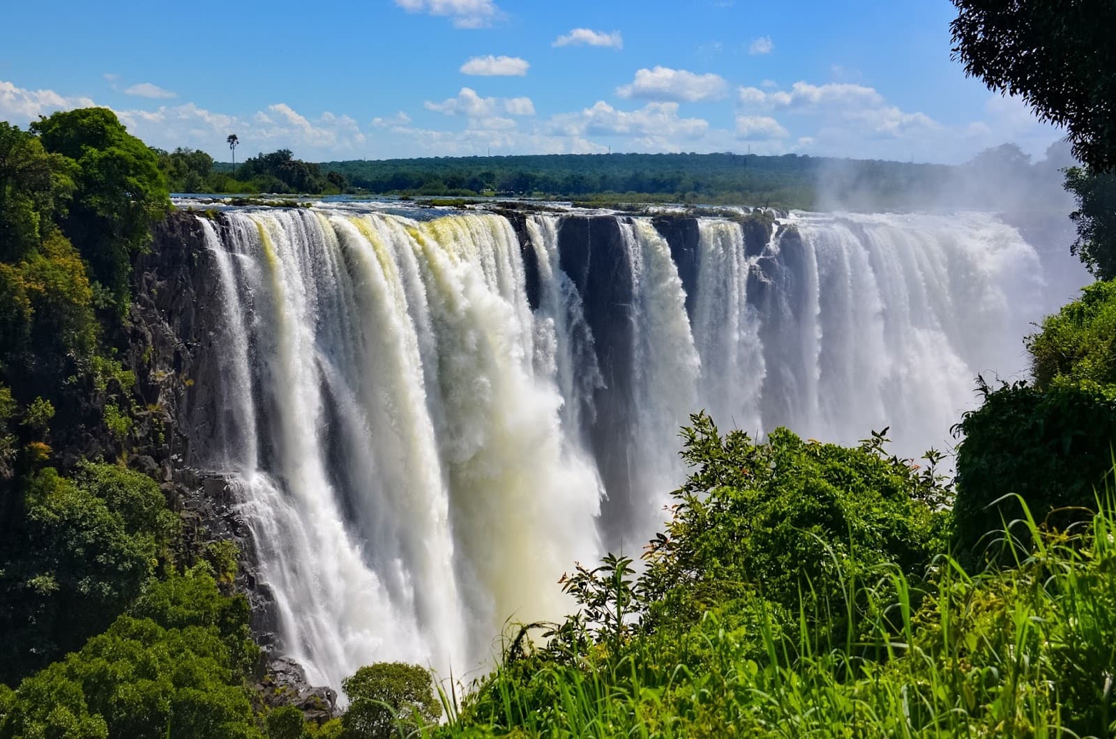 The Falls at Victoria Falls viewed through greenery as a destination-led opening statement.